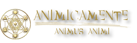 logo metatron animicamente