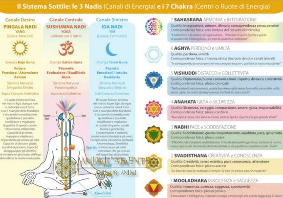 7 chakra | come curare i canali di energia