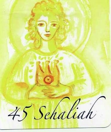 Angelo Sehaliah custode dal 3 al 7 novembre