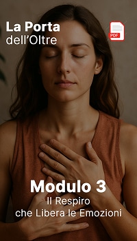 modulo 3