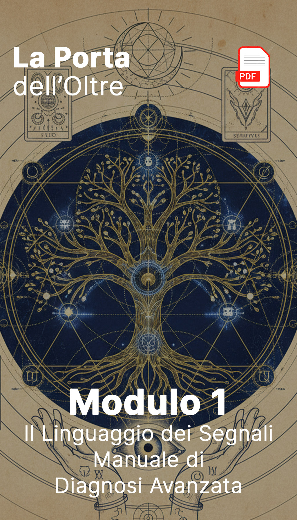 cover mini modulo 1